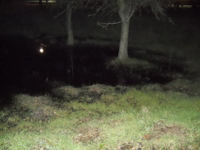 DSCN0134.JPG