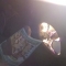 2011-01-09_19-46-16_240.jpg