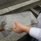 DSCN0077.JPG