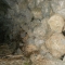 DSCN0131.JPG