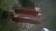 2011-01-09_18-55-13_718.jpg