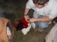 dscn0185.jpg