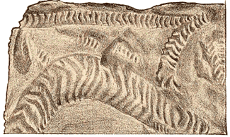 479-fig587t.gif 479-fig587t.gif
