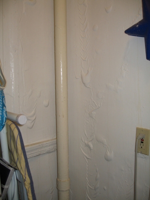 05.09.2008.07.22bathroomwall_low.jpg