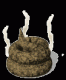 animatedpoosteamingclr.gif