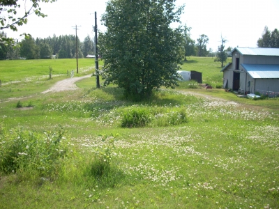 Before the mowing. Before the mowing.