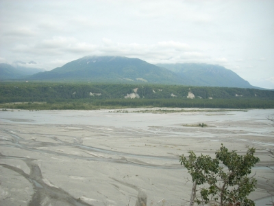 The mountains in the background.