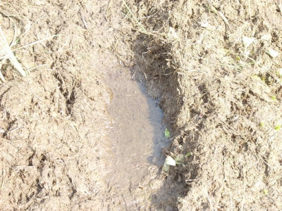 The small amount of water left.