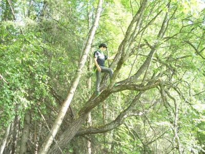 Me in the tree.