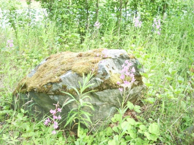 The old rock.