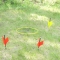 Lawn Darts