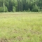 The dried pond -sad face-