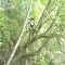 Me in the tree. Me in the tree.