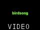 birdsong