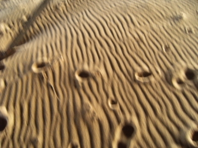 Sand