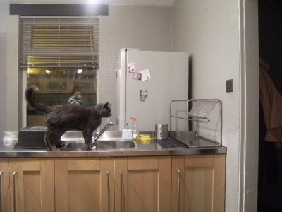 On the draining board.