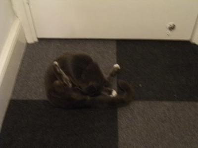 Rather ungentlemanly