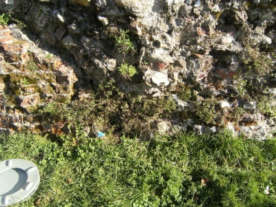 Starting to overthrow the wall