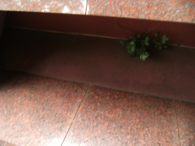 Tom's hiding place Tom's hiding place