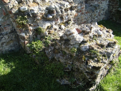 Ripping sections out