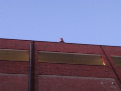 Daryl on the top