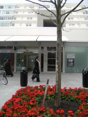 Plenty of plants here