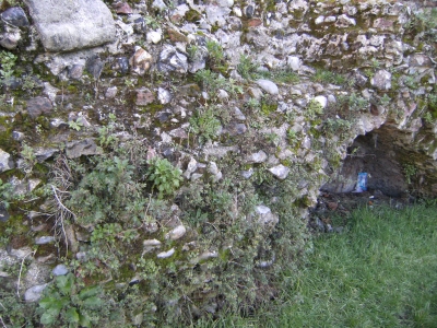 Getting into the crevices