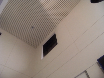 The window