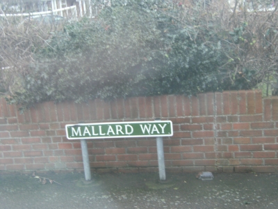 Mallard Way