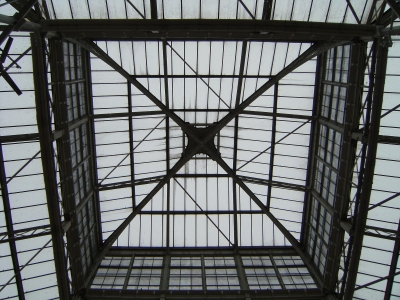 Winter Gardens roof