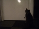 Wanting out