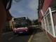 Bus coming.jpg