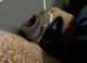 Shoe tower creation gif
