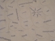 Detail 4