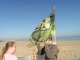 The flag.