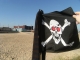 OUR flag!