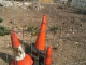Cones.jpg