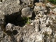 Breaking through the cracks