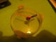 Smaller piece 2