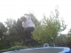 BOUNCY!