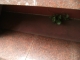 Tom's hiding place
