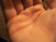 Other hand line