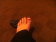 Toenail