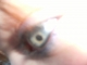Close flash