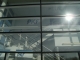 Glass.jpg