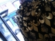 Jacket closeup.jpg