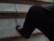 Knee.jpg