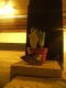 The planty gift