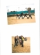 Photos 6 and 7