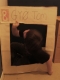 meatspaceplayerphoto 008.jpg